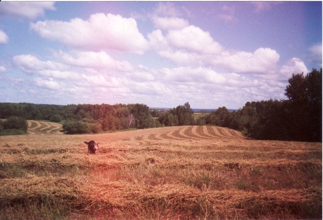 rephoto_090