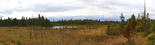 d20110919_0001-0005_pano