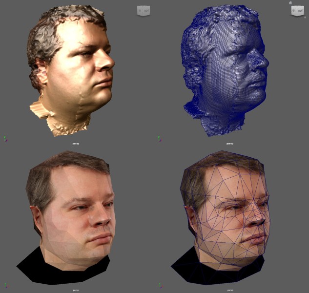 headscan_composite